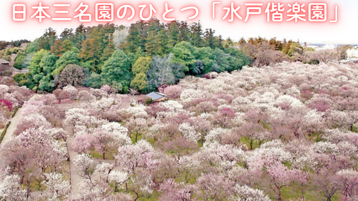 <Web割対象商品>【キングツアーバス旅】梅香る水戸偕楽園と那珂湊で海の幸たっぷり海鮮丼♪〔府中・調布発〕1